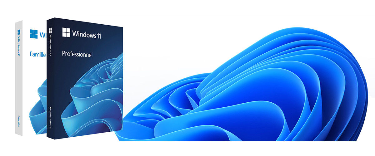 TRUNG QUỐC tốt Windows 11 Pro OEM bán hàng