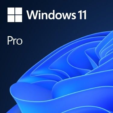 Mua Windows 11 Pro bán lẻ Giấy phép gốc cho hiệu suất tối đa