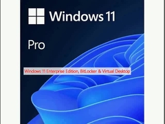 Windows 11 Enterprise Edition, BitLocker và Virtual Desktop