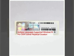 Nhiều ngôn ngữ được hỗ trợ Windows 10 Pro Giấy phép OEM Thời hạn vĩnh viễn